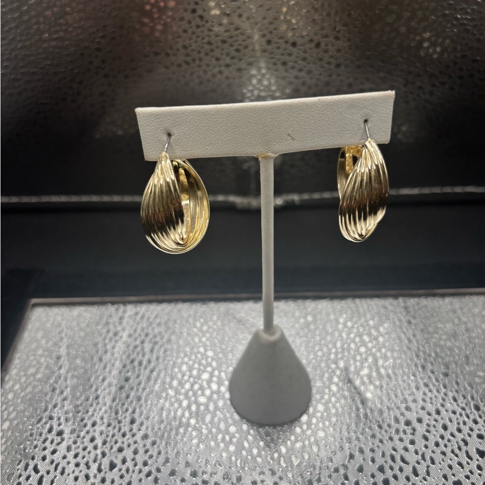 Elegant Gold Hoop Earrings